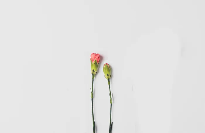 Lessons of tango: leading